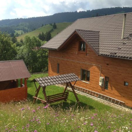 Апартаменты Карпатська перлина Iltsi Экстерьер фото