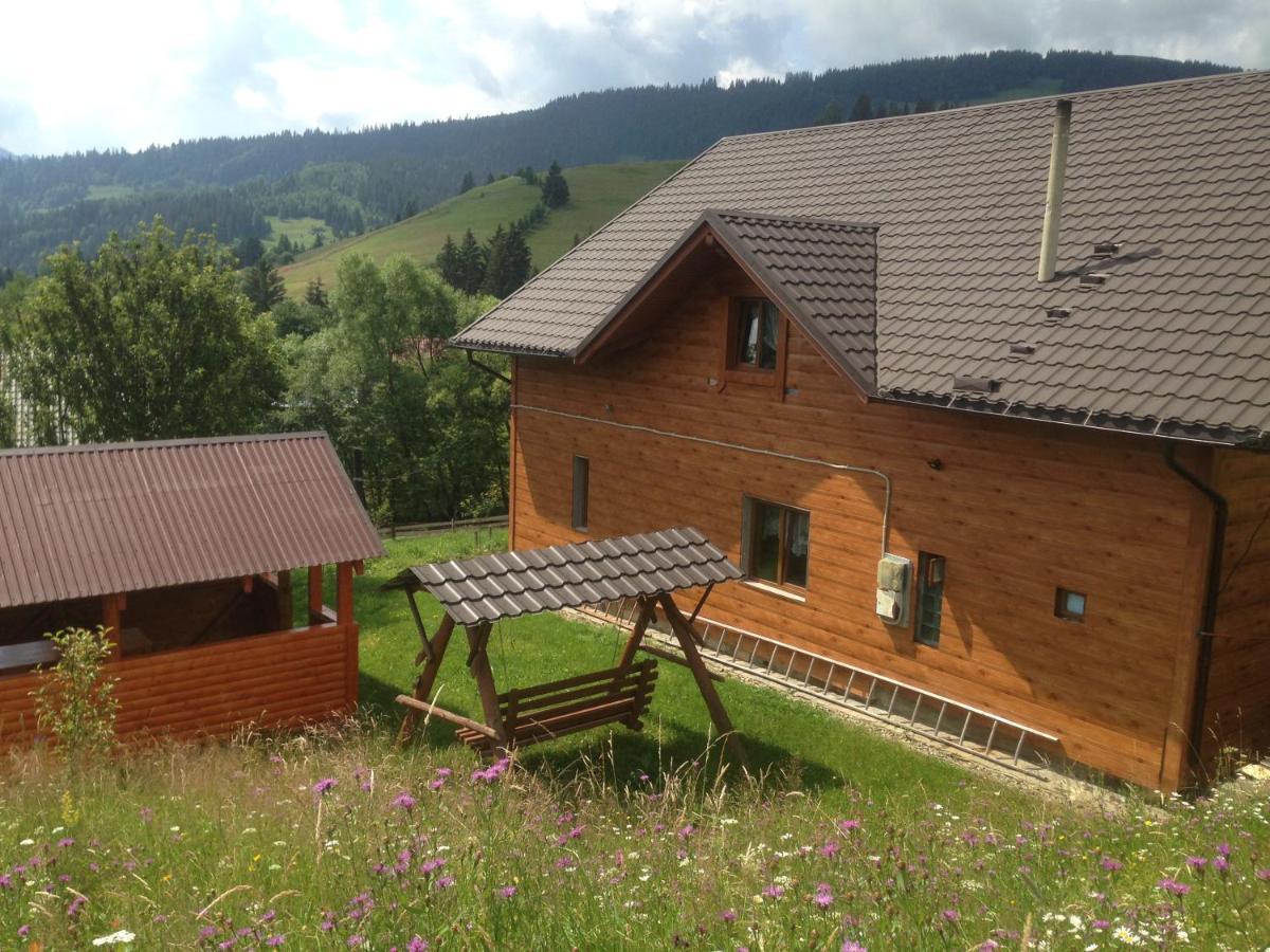 Апартаменты Карпатська перлина Iltsi Экстерьер фото